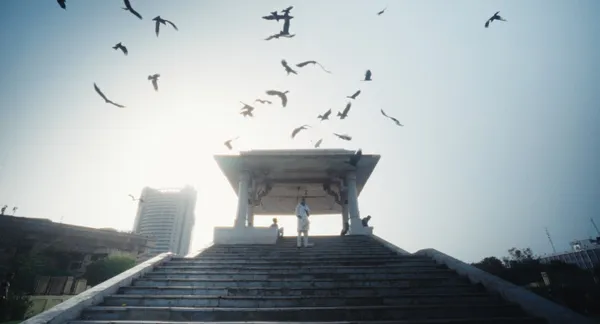Shaunak Sen: 'I wanted people to step out to the theatres and look up immediately, like the idea was to somehow enchant the sky and enchant the birds'