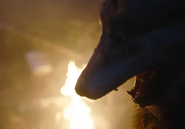 Burial werewolf scene