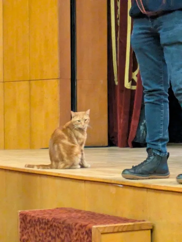 Stage management in Istanbul
