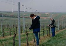 Mira (Alina Schaller) with her grandfather (Wolfgang Böck) in the family vineyard