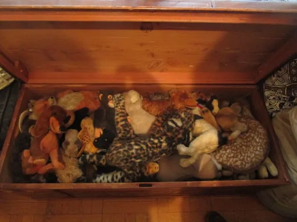 Anne-Katrin Titze's Steiff animals