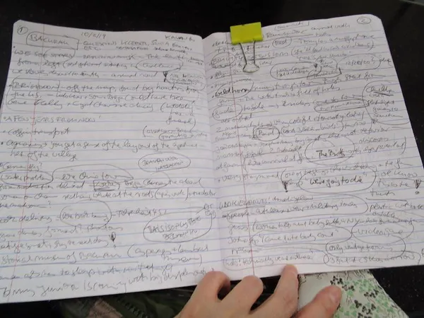 Bacurau film notes