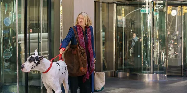A still from the film The Friend. A harlequin great Dane tows a blond white woman in a blue coat along a street, away from the mirrored doors of a building.