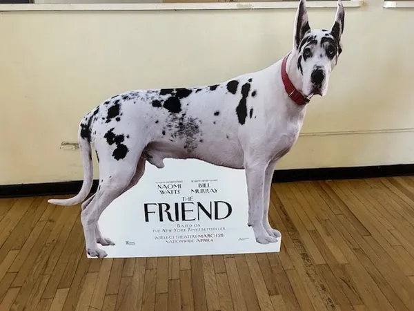 A standeee of a harlequin great Dane promoting the film The Friend.