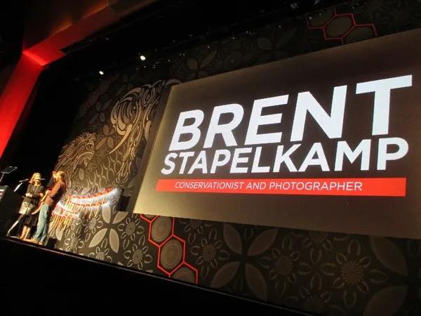 Brent Stapelkamp