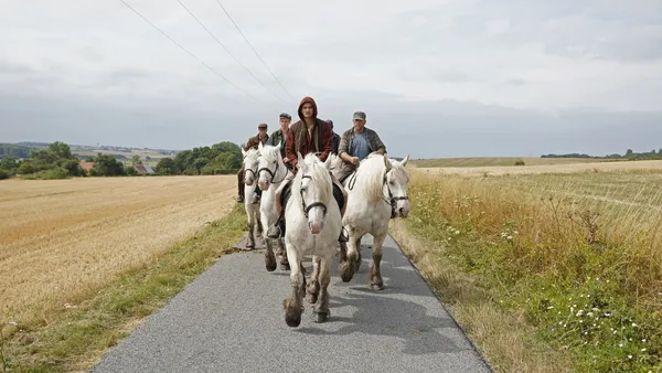 A still from the film The Empire. A group of white men ride white horses along a country road.