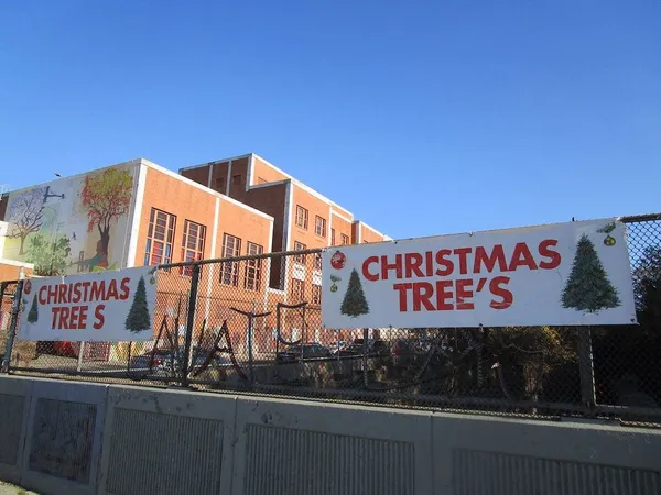 CHRISTMAS TREES and CHRISTMAS TREE'S banners