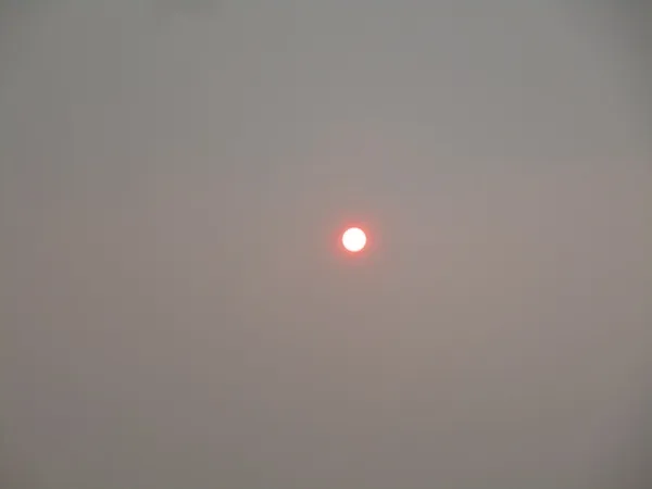 Smoke from Canadian wildfires in NYC