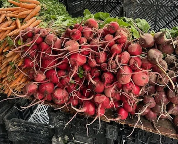 Big piles of carrots and beetroot.