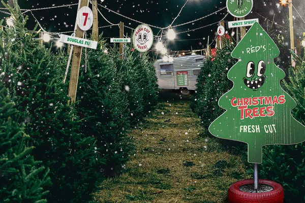 The Christmas tree lot in The Holdovers