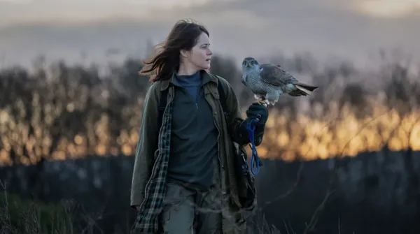 A woman with a hawk on a gloved hand