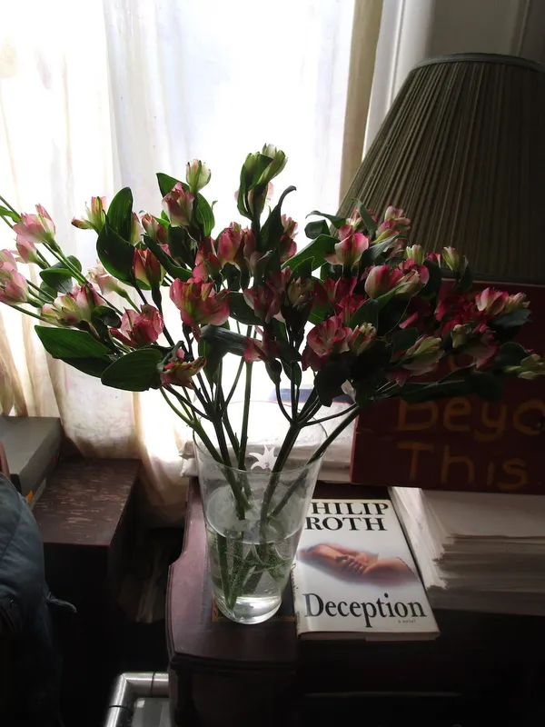 2302223 Deception by Philip Roth