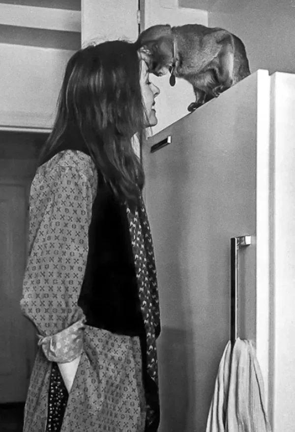 In black and white, a tall white woman - the actor Diane Keaton, wearing a shirt patterned with exes and zeroes - stretches up against a tall cupboard. The cat sitting on the top leans downwards to press its forehead against hers.