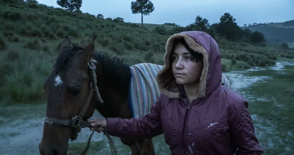 The Echo (2024) 2