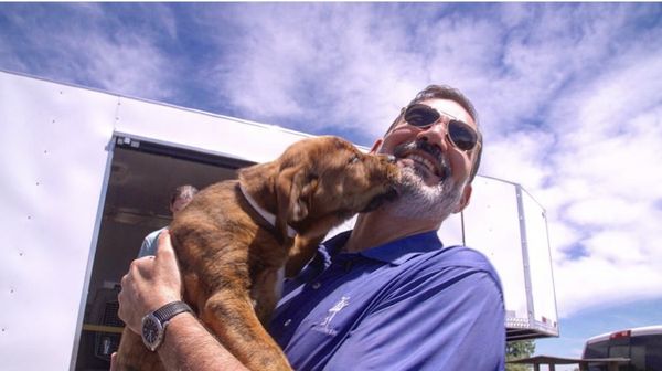 A rescue dog shows its gratitude in Free Puppies