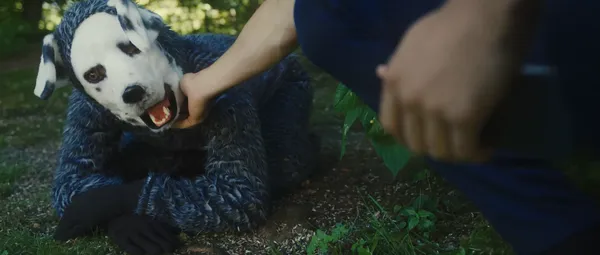 Good Boy (2022) 2