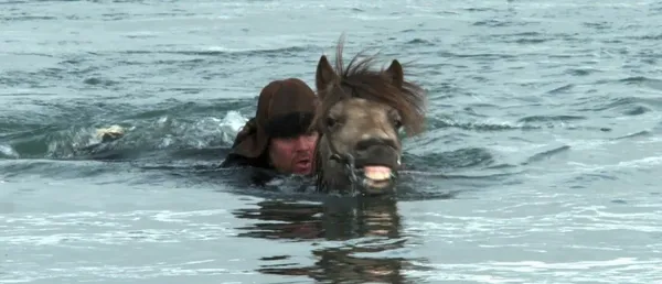 Of Horses And Men swimming scene