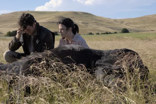 A still from the film In Vitro. A distressed-looking white man and a white woman sit beside a black cow which is lying down in a field. There are low hills in the background, under a blue sky.