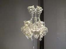 Iris van Herpen 3-D-printed dress by Materialise