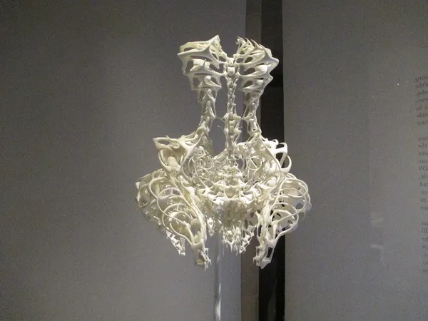 Iris van Herpen 3-D-printed dress