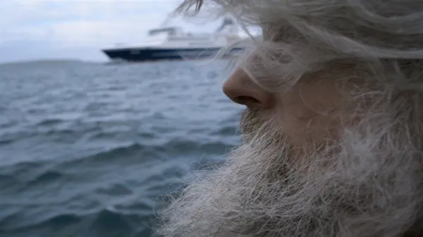 The Islands And The Whales