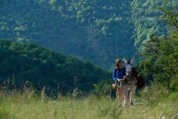 Laure Calamy and Patrick in My Donkey, My Lover And I