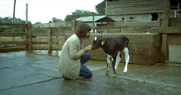 Leonor Varela with a calf in The Cow Who Sang A Song Into The Future