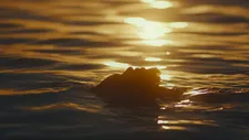 Guto Parente: “Film is a dream language. It’s where we can get through this border between what we call reality and fantasy.”