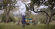 Felicia (María Velasquez) with her escaped bees