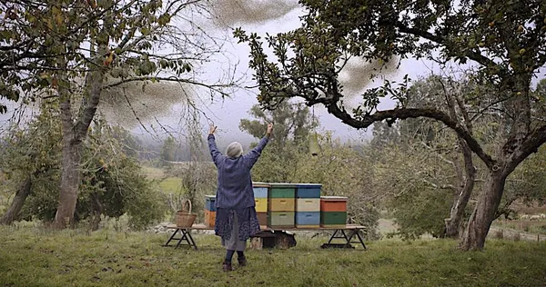 María Velasquez in The Cow Who Sang A Song Into The Future