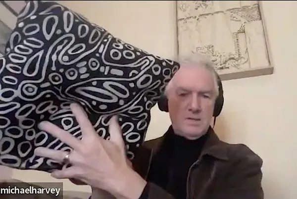 Mick Harvey 2