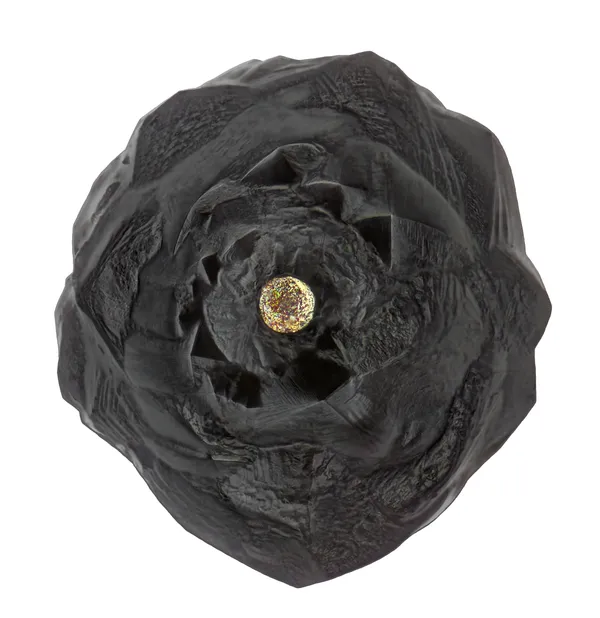 a micrometeorite