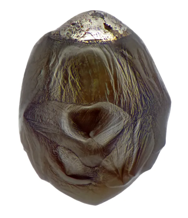 A micrometeorite