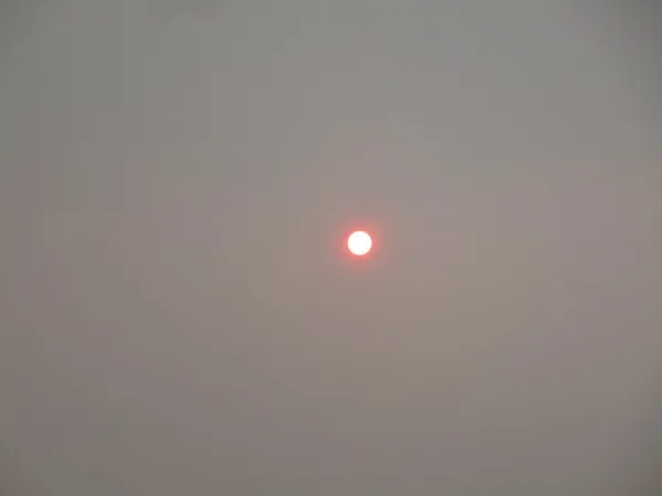 New York City on Tuesday, June 6