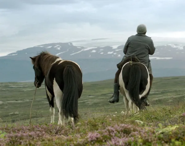 Of Horses And Men at New Directors/New Films