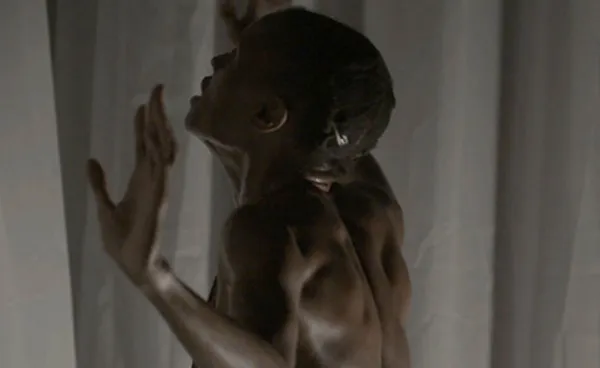 Okwui Okpokwasili in Bronx Gothic 3