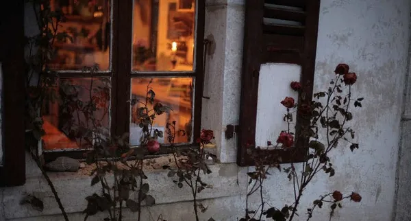 Outside John Berger's kitchen