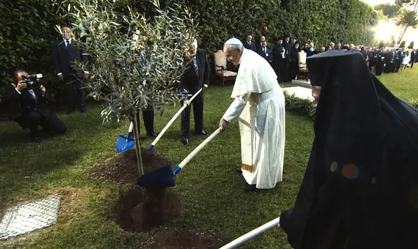 Pope Francis 5
