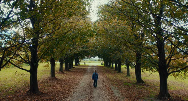 A still from the film Prime. A figure in a denim jacket walks away along a path which is lined on either side by mature deciduous trees. There are fallen Autumnal leaves on the ground.