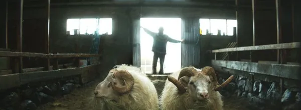 Rams - Barn