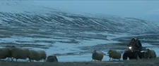 Grímur Hákonarson: "I had some nightmares about filming in a snowstorm in sheep - I was really worried about it."