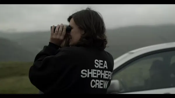 The Islands And The Whales 4