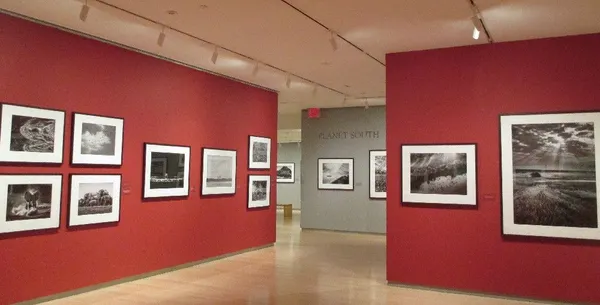Sebastião Salgado Genesis exhibition