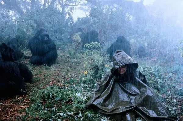 Sigourney Weaver as Dian Fossey in Gorillas In The Mist
