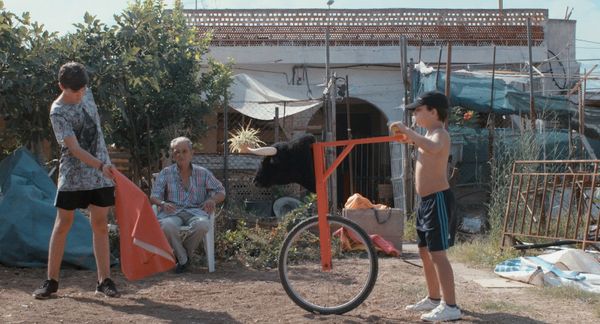 Borja and Erik practise with their grandad in The Boy And The Suit Of Lights. Inma de Reyes: 'Erik, the younger brother, was constantly asking all the right questions'