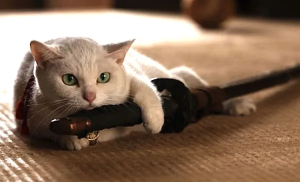 Tamanojo, Samurai Cat