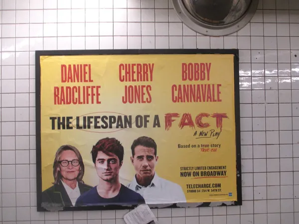 The Lifespan Of A Fact poster