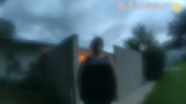 The Perfect Neighbor