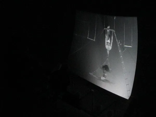 Trapeze artists 3