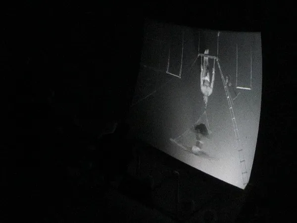 Trapeze artists in The Show Of Shows